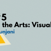 MEETS #5 Access and the arts visual stories 101